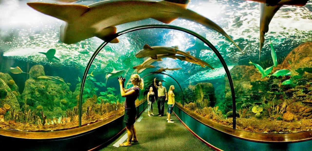 Апартаменты Albatros Park Amarilla Golf Piscina Climatizada, Wifi Сан Мигель Экстерьер фото
